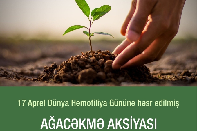 17 Aprel Dünya Hemofiliya Gününə həsr edilmiş ağacəkmə aksiyası keçiriləcək