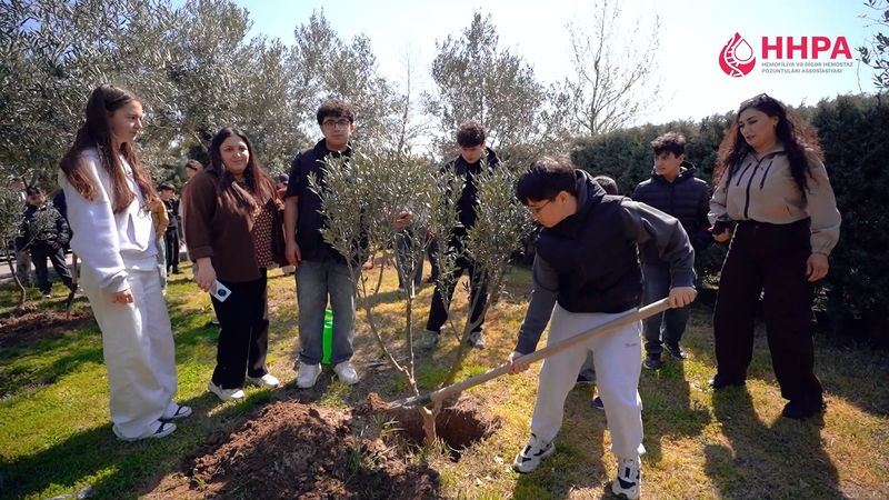 Dünya Hemofiliya Gününə həsr edilmiş ağacəkmə aksiyası keçirildi
